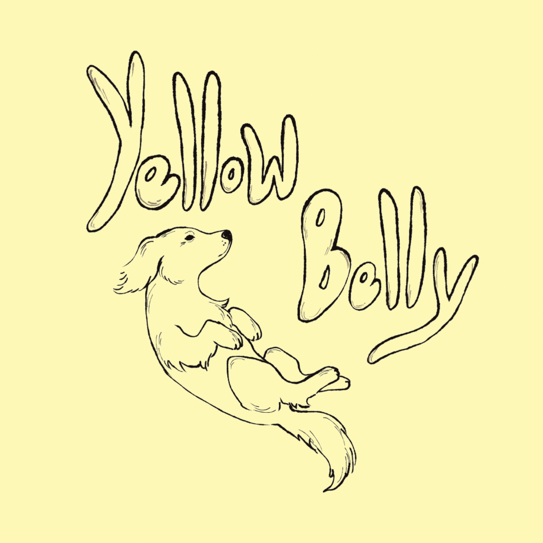 Yellow Belly